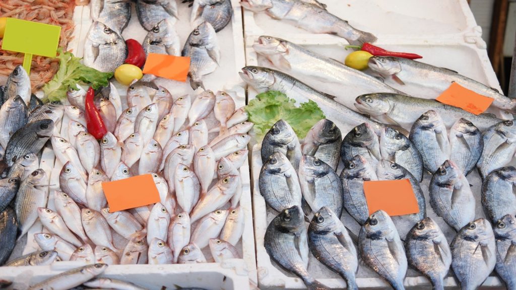 Ikan yang Boleh Dimakan Penderita Kolesterol
